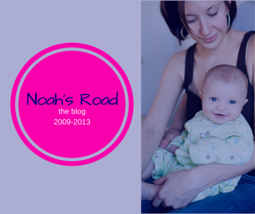 Noah's Road Erin Whitmer