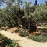 Mount of Olives photo