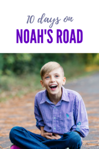 ten days on noah's road erin whitmer